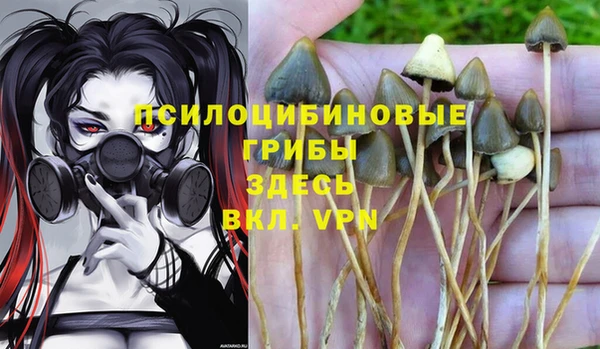 кристаллы Липки