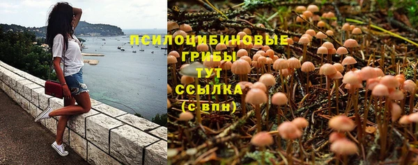 кристаллы Липки