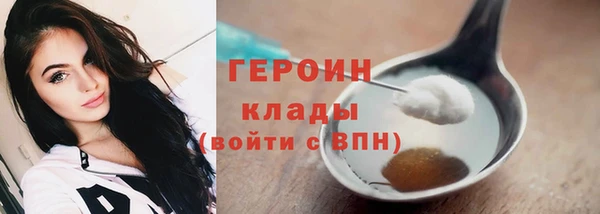 твердый Лагань
