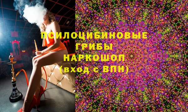 прущие грибы Братск