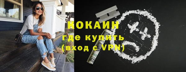 твердый Лагань