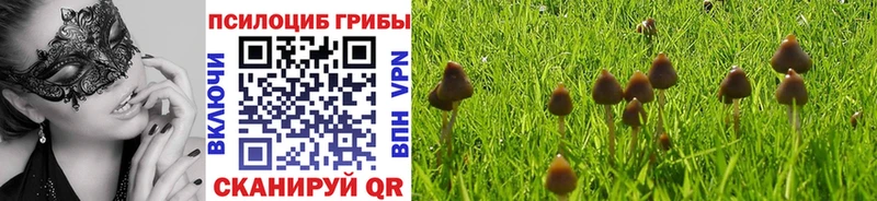 Галлюциногенные грибы ЛСД  Новый Уренгой 
